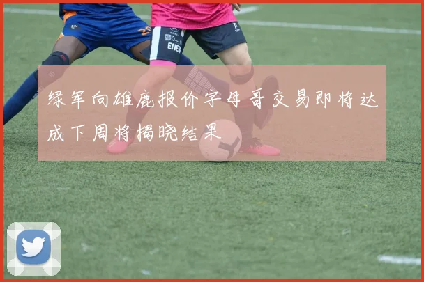 绿军向雄鹿报价字母哥交易即将达成下周将揭晓结果